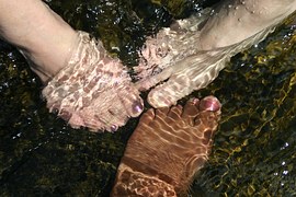 hands