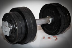 muscle